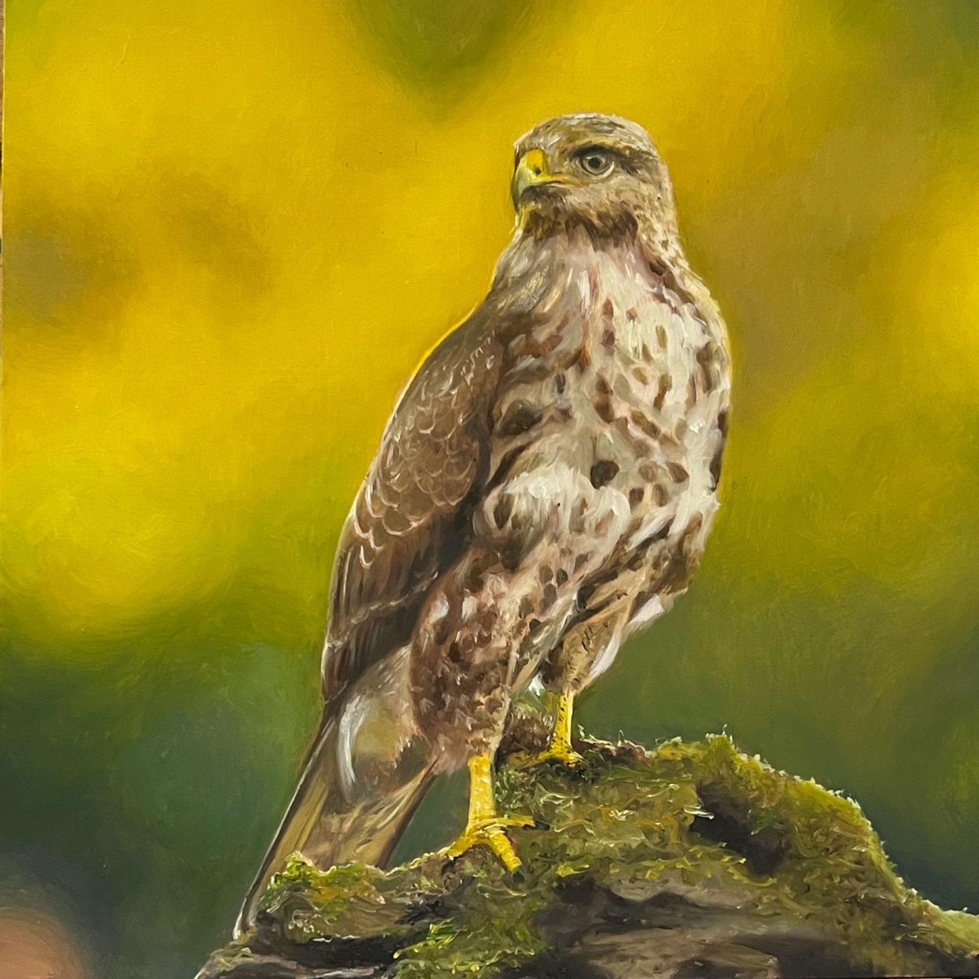 Wildlife study