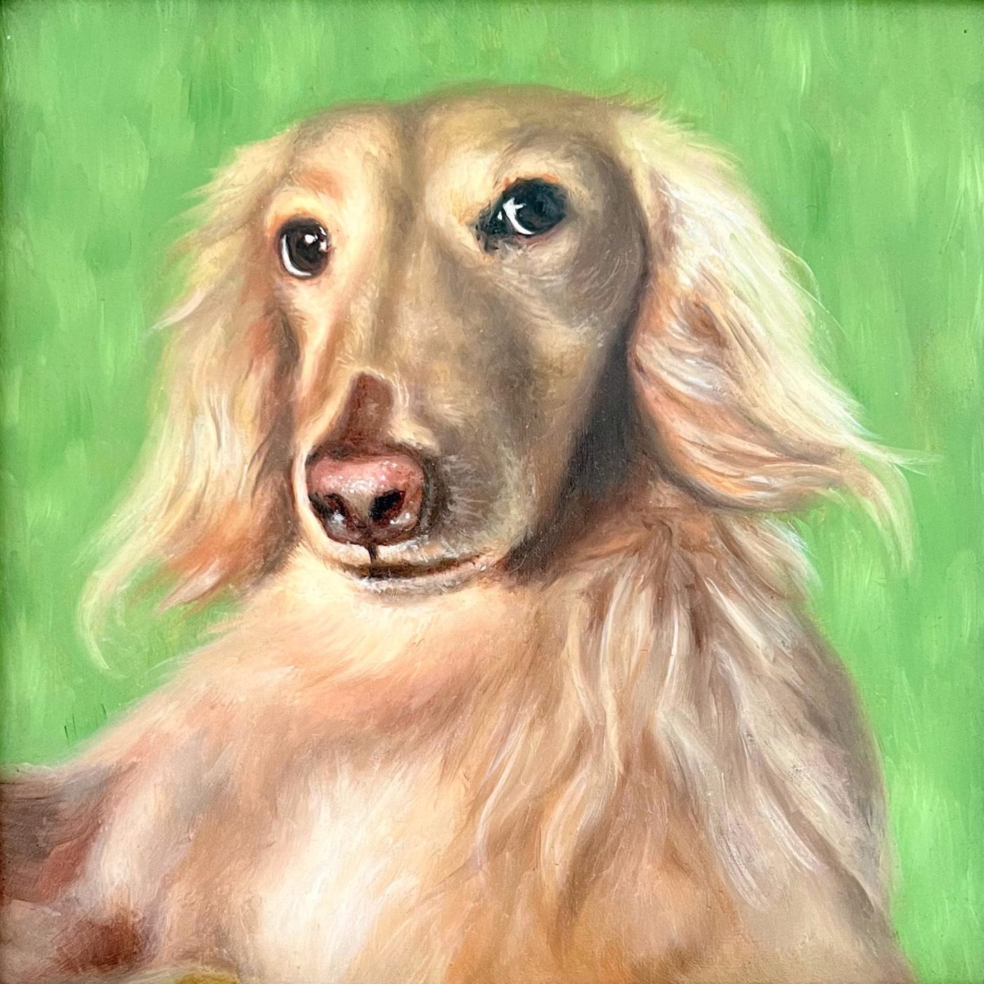 Pet portrait — Bella
