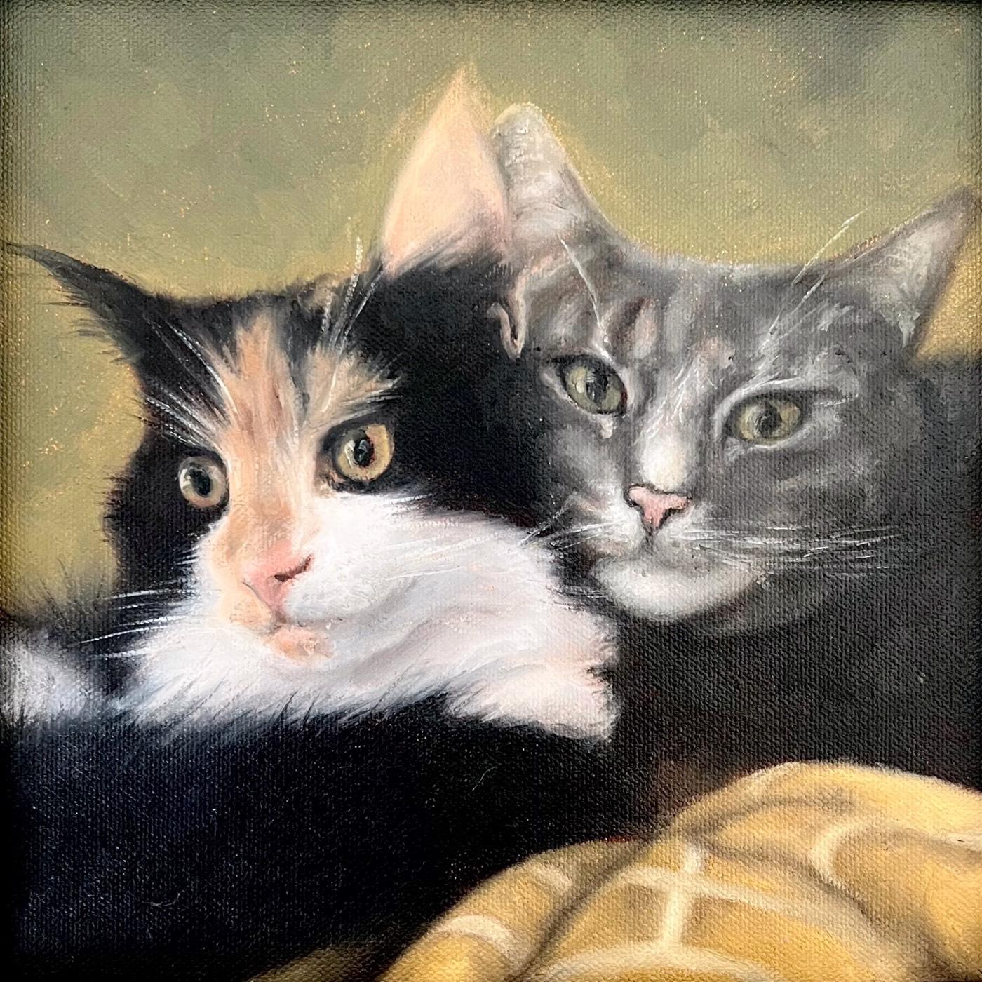 Pet portrait — Salt & Pepper