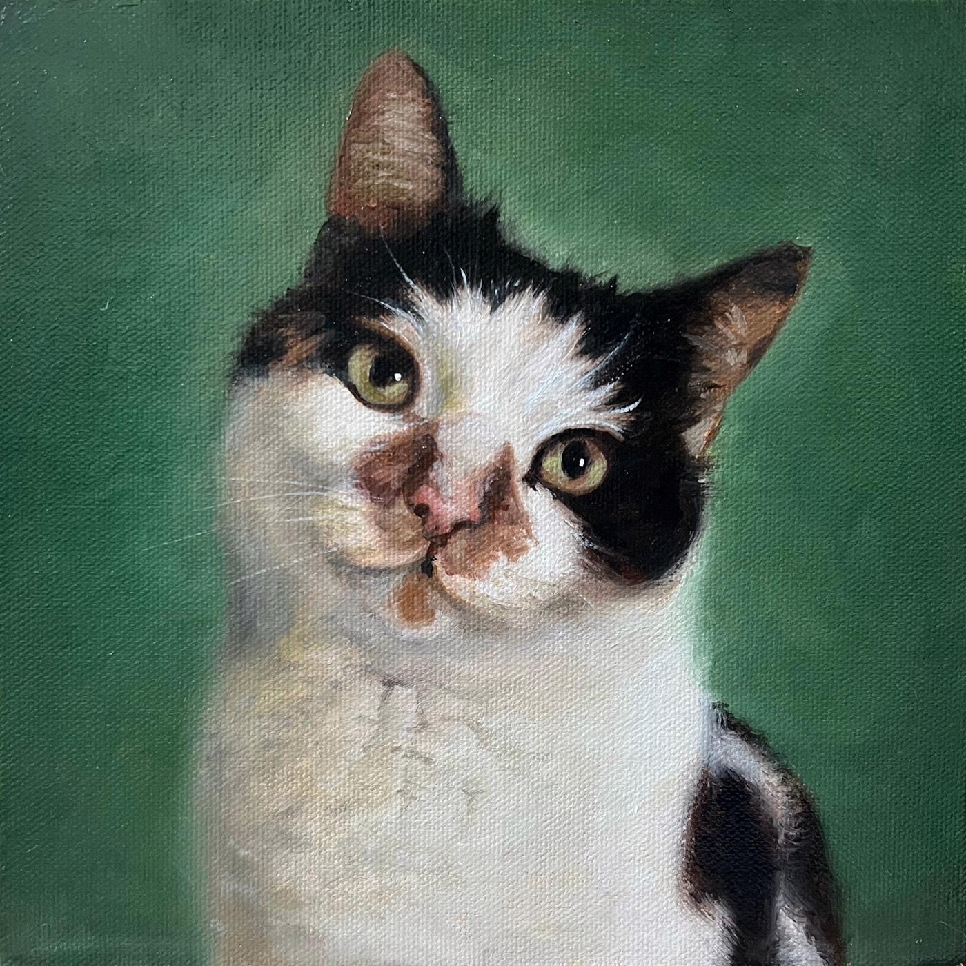 Pet portrait — Willow